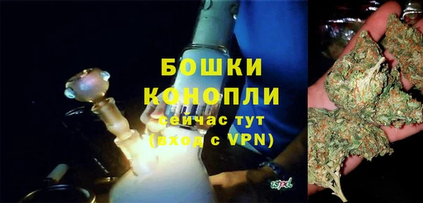 крисы Почеп