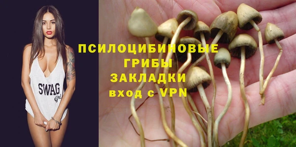 СК Магадан