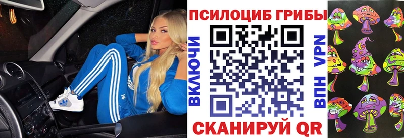 Галлюциногенные грибы прущие грибы  Сусуман 